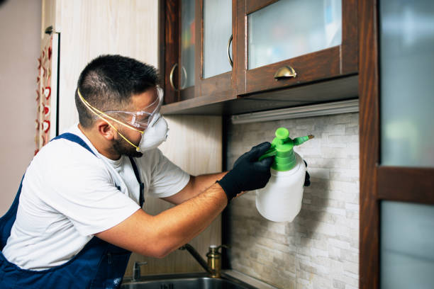 Best Bed Bug Extermination  in Short Pump, VA