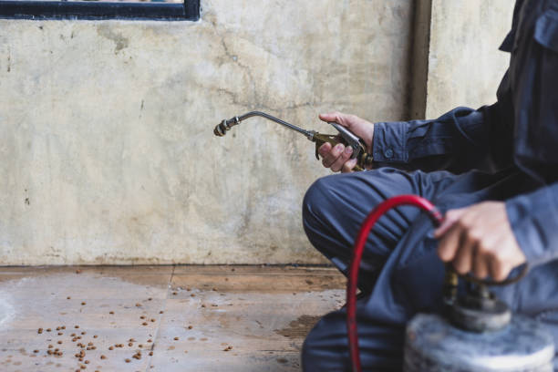 Best Termite Control Services  in Short Pump, VA