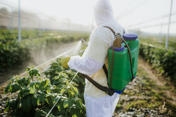 Best Pest Control Treatment  in Short Pump, VA